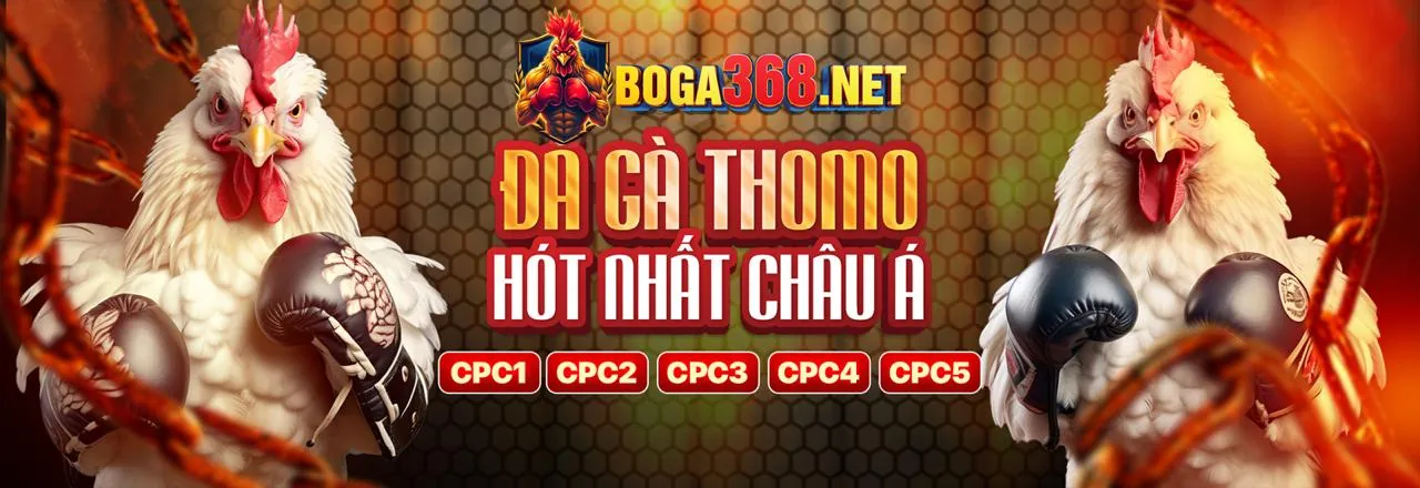 Đá Gà Trực Tuyến 789 win