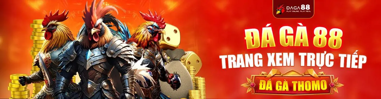 Điều khoản và điều kiện của 789 win
