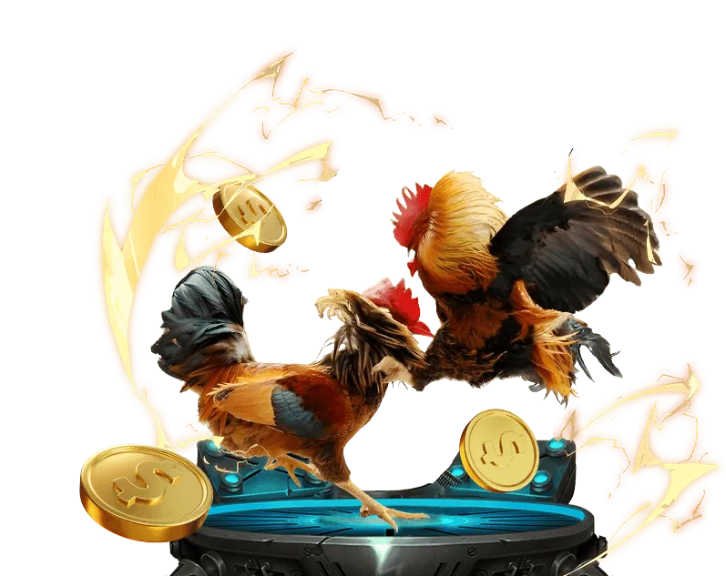 Khuyến mãi đặc biệt